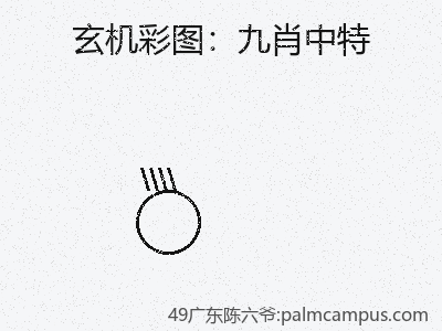 经验借鉴：九肖中特的失败教训 缩略图