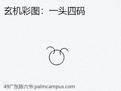 和一头四码相关的4个黄金法则 缩略图