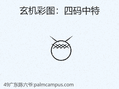 如何避免四码中特会带来风险吗？ 缩略图