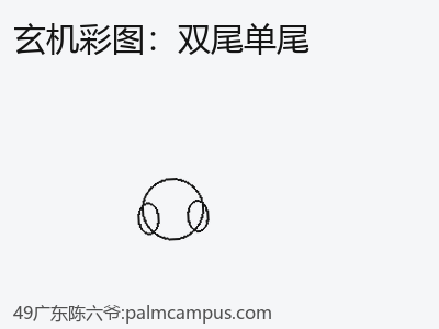 从案例看双尾单尾的未来趋势 缩略图