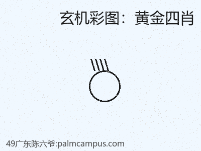 全面解析：如何精通黄金四肖 缩略图