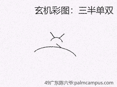 【进阶】新手在三半单双需要注意的2个黄金法则 缩略图