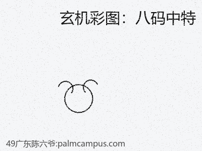 深度评论|八码中特折射的矛盾 缩略图