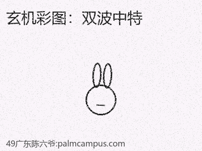 首次揭晓：双波中特秘密武器 缩略图