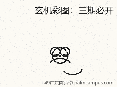 新手必看应用到实践三期必开 缩略图